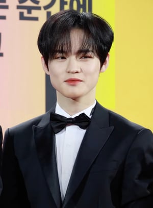 This is the Avatar Image for the NCT CHENLE AI Voice and Text to Speech Generator